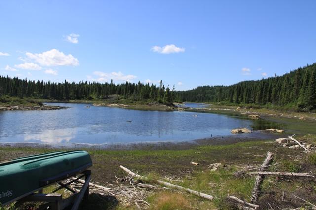 Lac perché