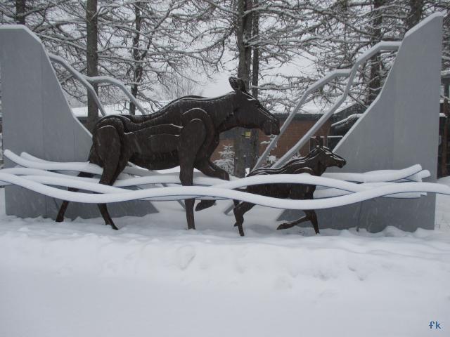 Parc de la Jacques Cartier