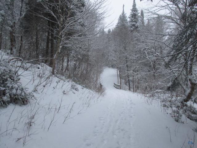 Parc de la Jacques Cartier