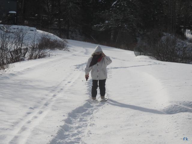 Parc de la Jacques Cartier