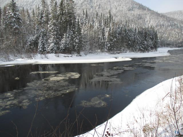 Parc de la Jacques Cartier