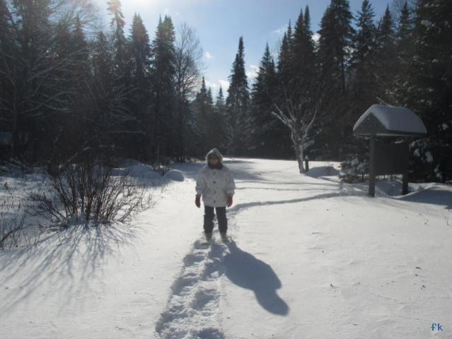 Parc de la Jacques Cartier
