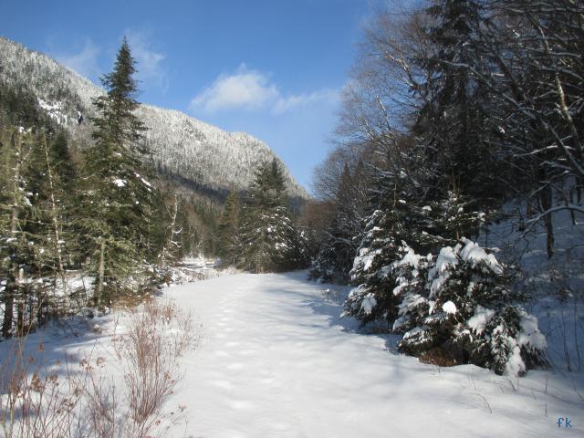 Parc de la Jacques Cartier