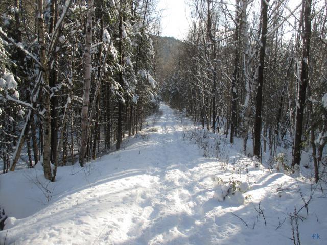 Parc de la Jacques Cartier