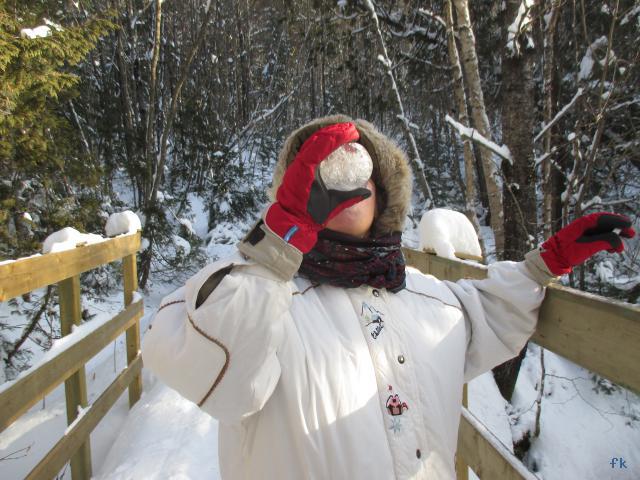 Parc de la Jacques Cartier