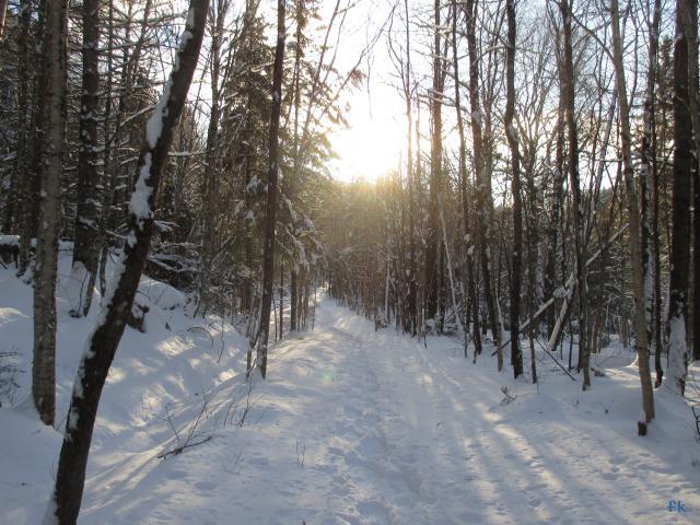 Parc de la Jacques Cartier