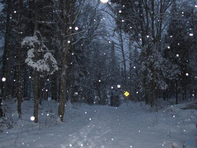 Parc de la Jacques Cartier
