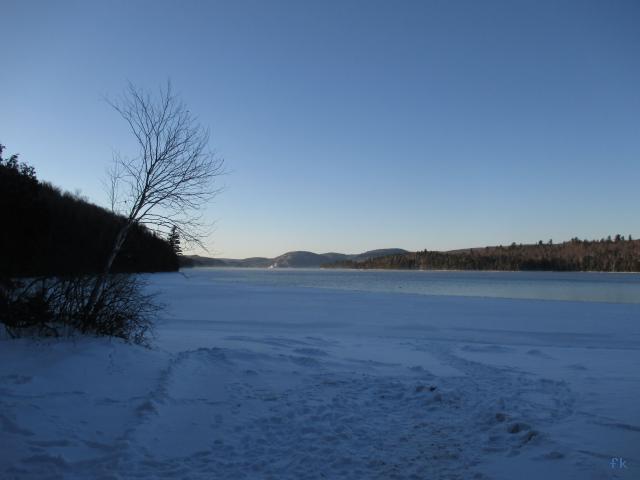 Sacacomie
