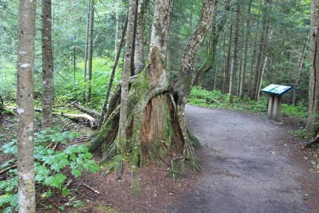 Sentier du lac Etienne