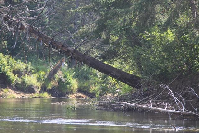 Rivière de la diable