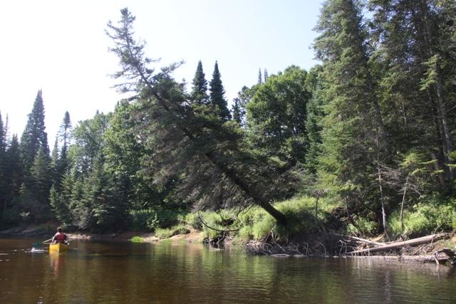 Rivière de la diable
